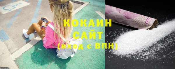 бошки Новодвинск